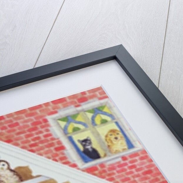 Black and white whiskers by Pat Scott