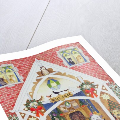 Black and white whiskers by Pat Scott