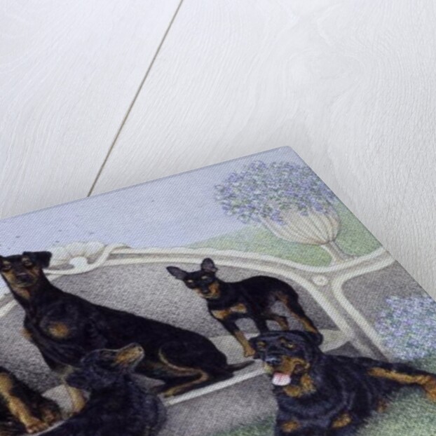 Tea on the terrace by Pat Scott