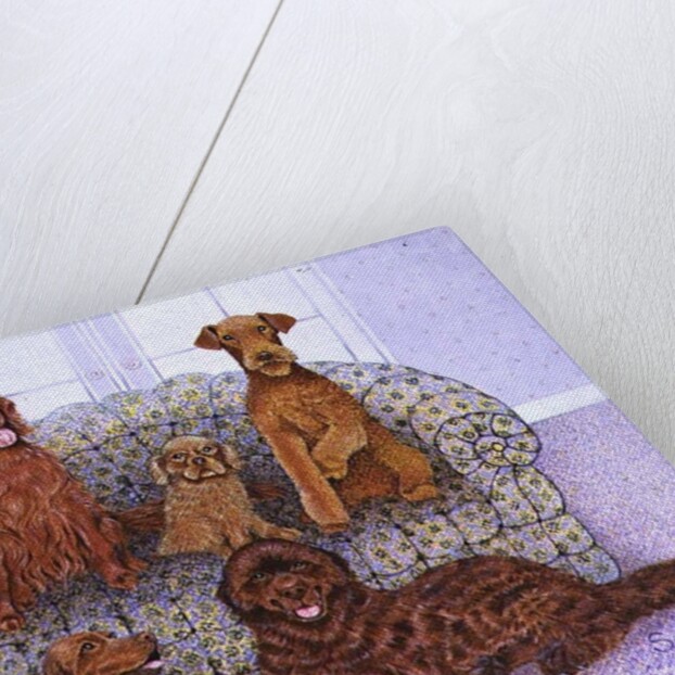 The good life by Pat Scott