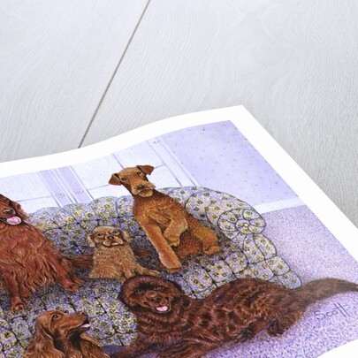 The good life by Pat Scott