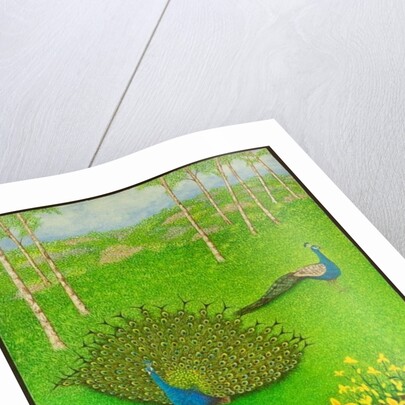 Winning Ways, 2012 by Pat Scott