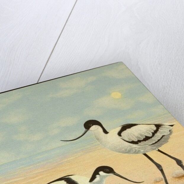 The New Generation, 2012 by Pat Scott