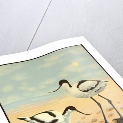 The New Generation, 2012 by Pat Scott