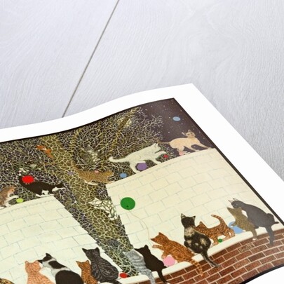 A Magical Display, 2012 by Pat Scott