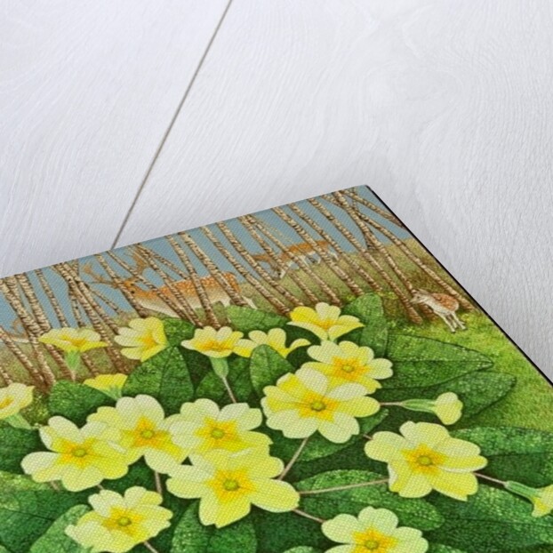 Looking Hopeful, 2011 by Pat Scott