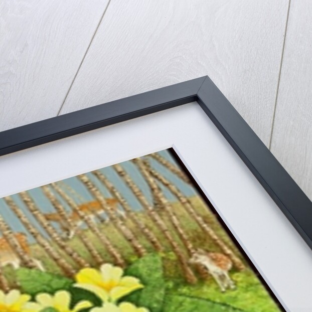 Looking Hopeful, 2011 by Pat Scott