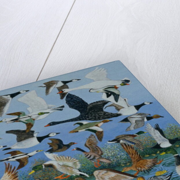 Taking Off, 1996 by Pat Scott