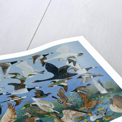 Taking Off, 1996 by Pat Scott