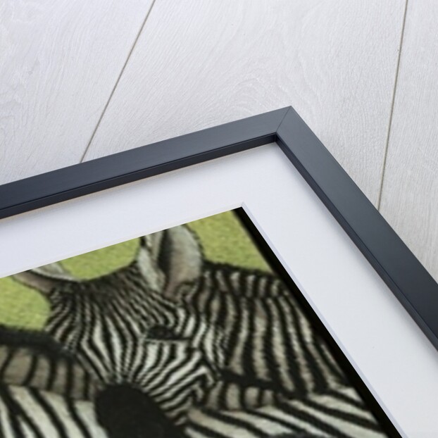 All in black and white by Pat Scott