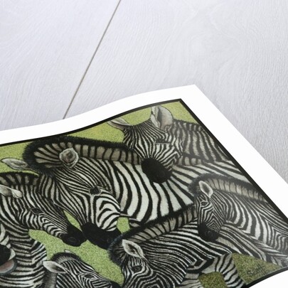 All in black and white by Pat Scott