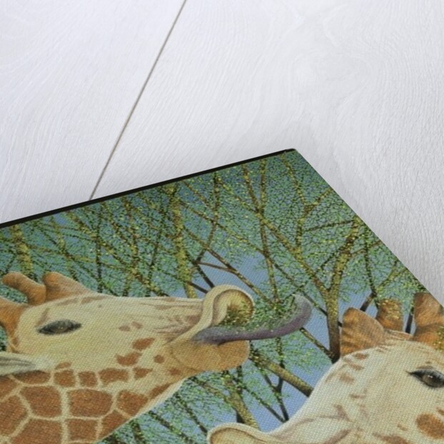 Life at the top by Pat Scott