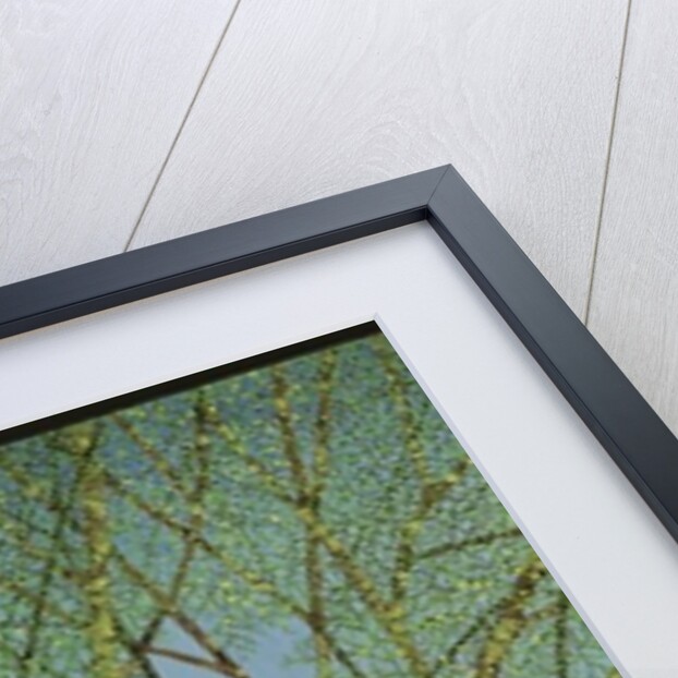 Life at the top by Pat Scott