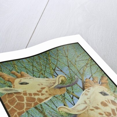 Life at the top by Pat Scott