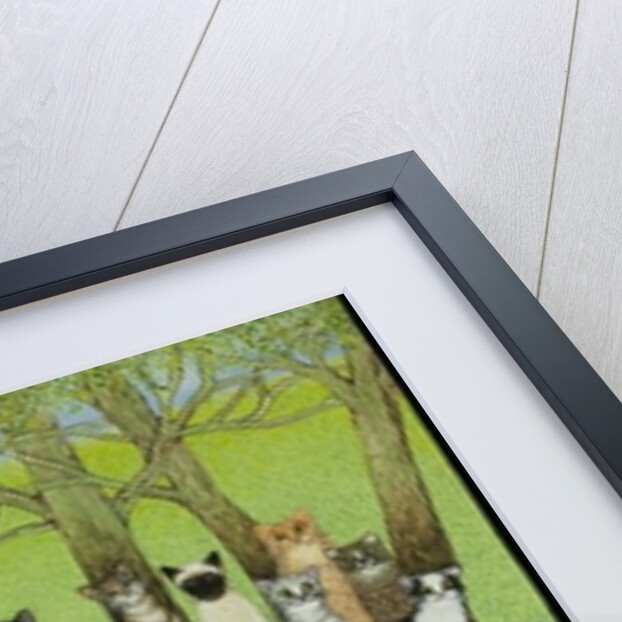 Watch the Birdie by Pat Scott