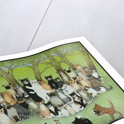 Watch the Birdie by Pat Scott