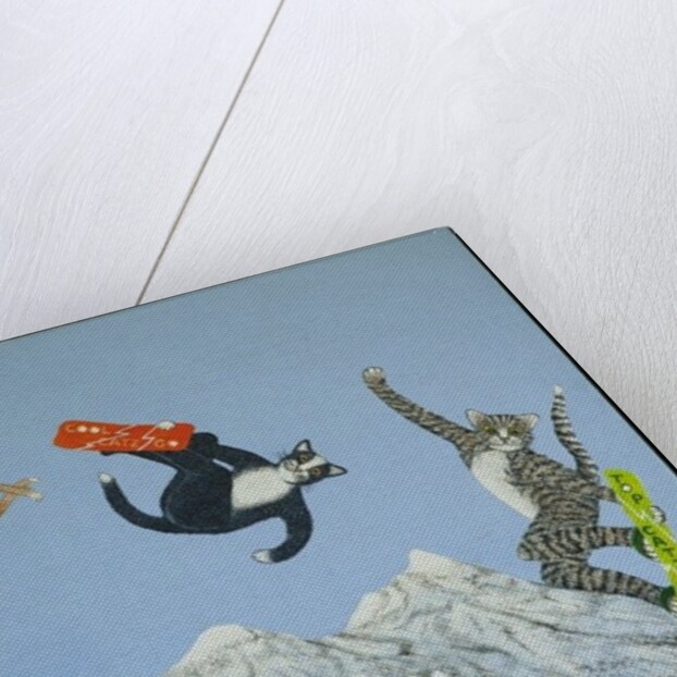 Style and ability by Pat Scott