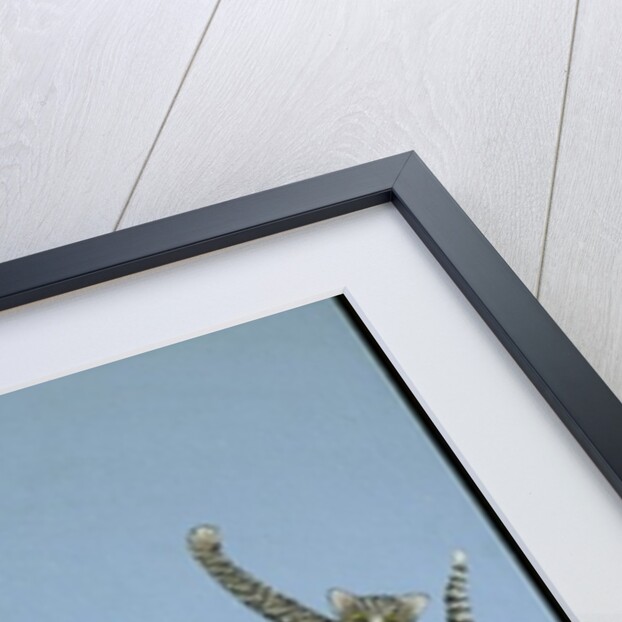 Style and ability by Pat Scott