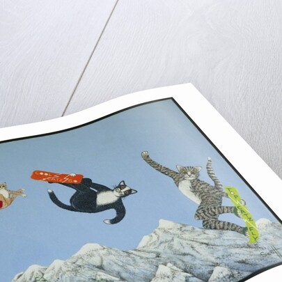 Style and ability by Pat Scott