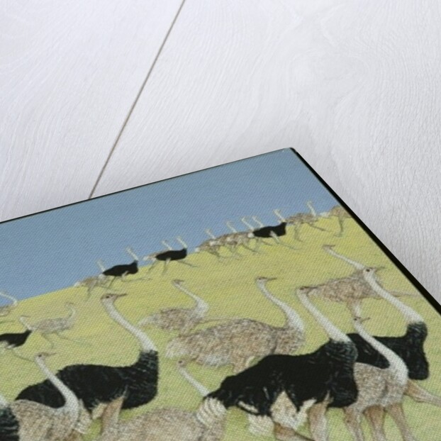 Rush hour by Pat Scott