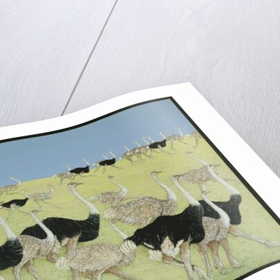 Rush hour by Pat Scott