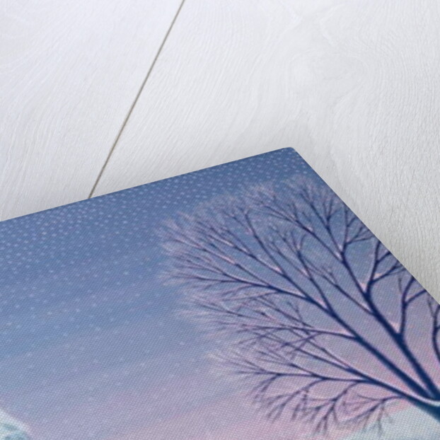 Henri's winter innocence by Peter Szumowski