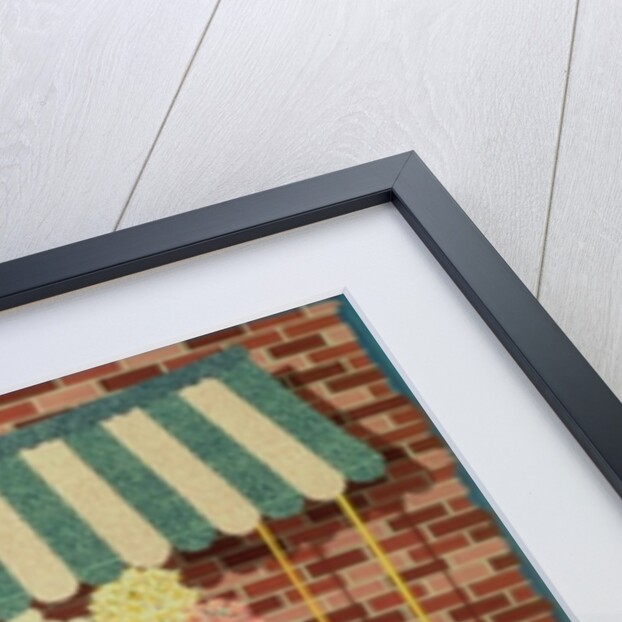 The Flower Man by Peter Szumowski