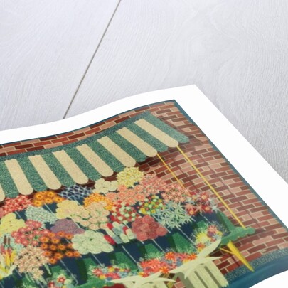 The Flower Man by Peter Szumowski