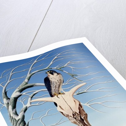 The Neolithic Totem by Peter Szumowski