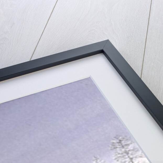 School Yard Sliding by Peter Szumowski