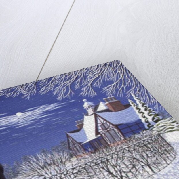 Moonlight by Peter Szumowski