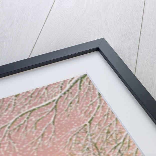 The Snowman by Peter Szumowski