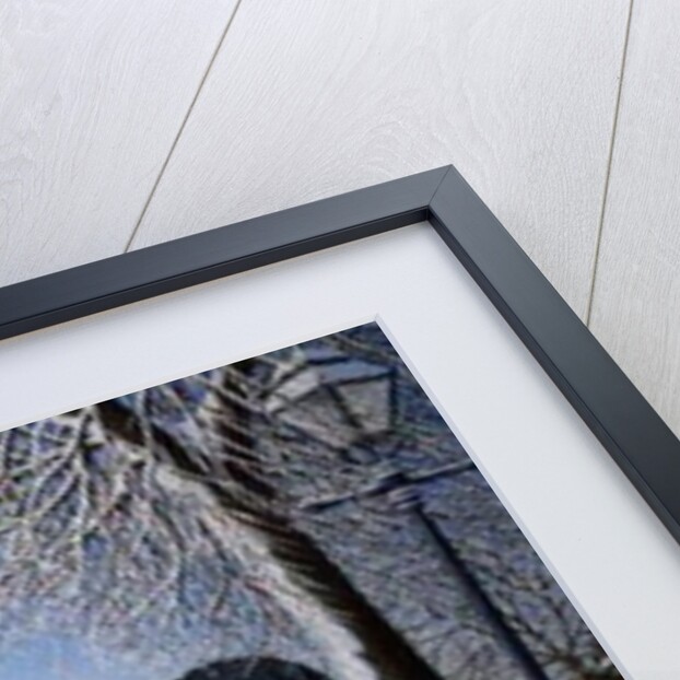 Deja Vu by Peter Szumowski