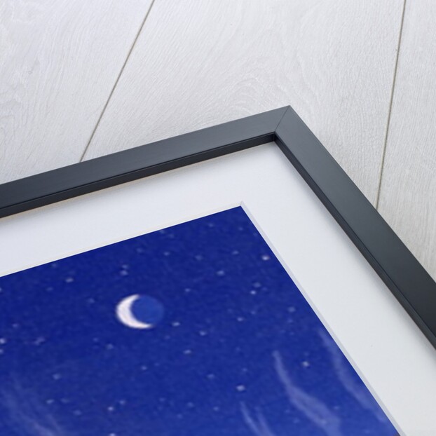 The Chestnut Man by Peter Szumowski