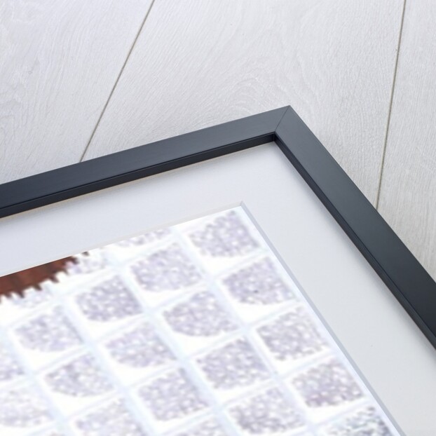 Waiting for Father by Peter Szumowski