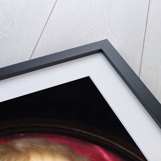 A Lady called Teresia Lady Shirley by John Hoskins