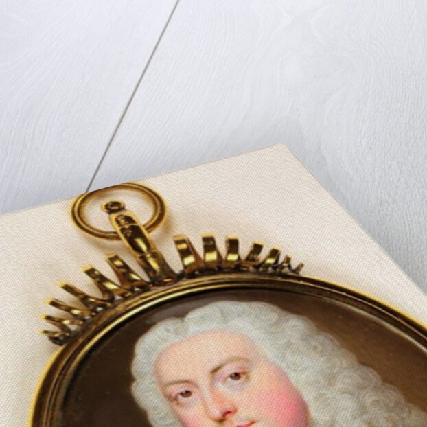 A Gentleman called Prince George Of Denmark by Christian Friedrich Zincke