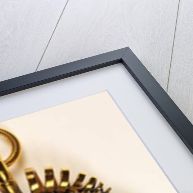 A Gentleman called Prince George Of Denmark by Christian Friedrich Zincke