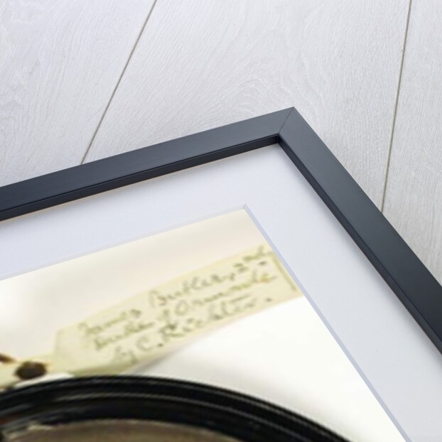 James Butler, 2nd Duke Of Ormonde by Christian Richter