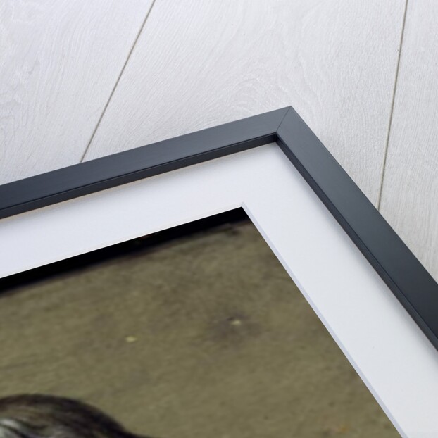 J Müller by Joseph Werner