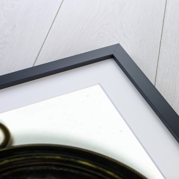 Henry Cavendish, Earl of Ogle by Richard (1615-1690) Gibson