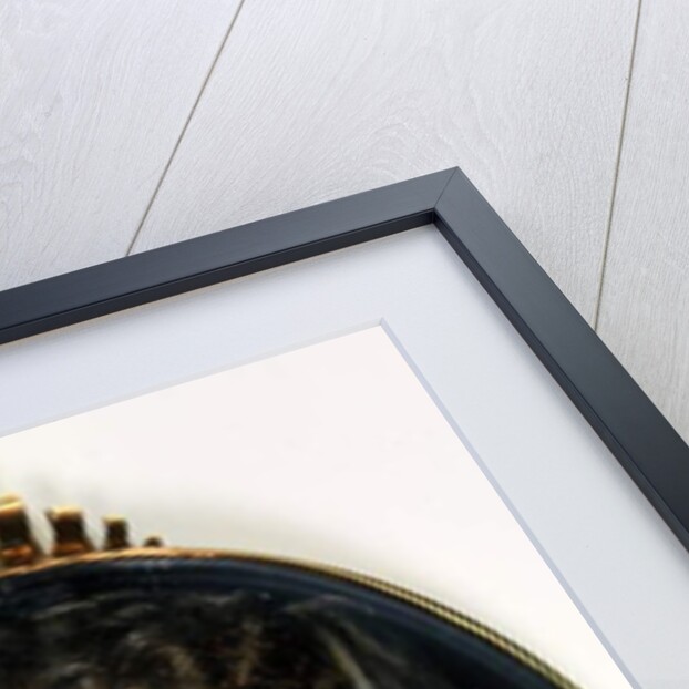 Anne Greville, Countess of Kingston by Richard (1615-1690) Gibson