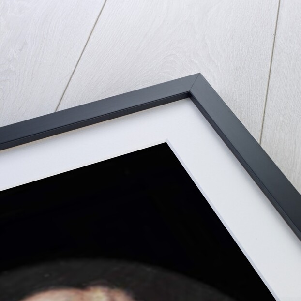 Henry Cavendish, 2nd Duke of Newcastle by H. Byrne