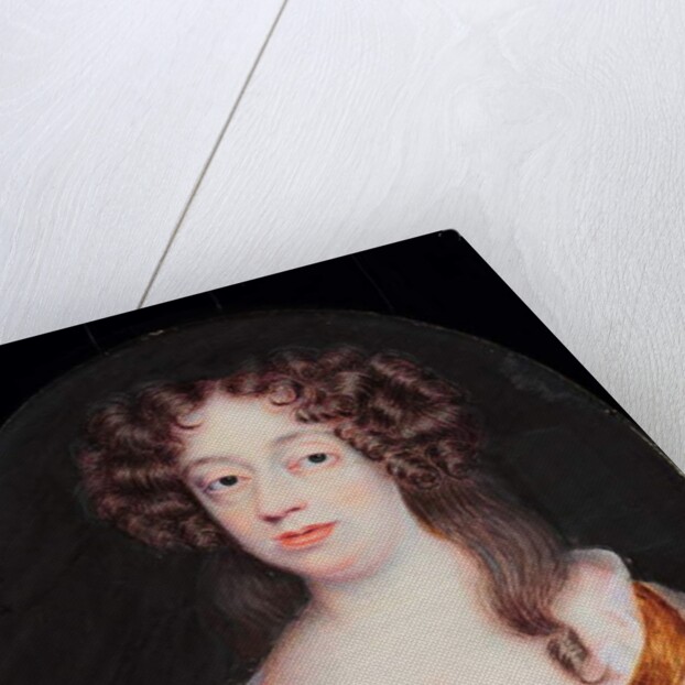 Frances Pierrepont, Duchess of Newcastle by H. Byrne