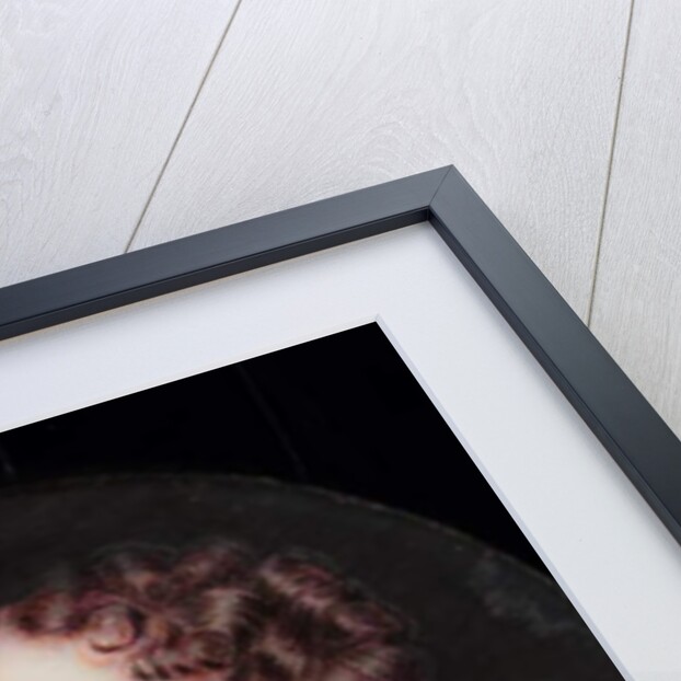 Frances Pierrepont, Duchess of Newcastle by H. Byrne