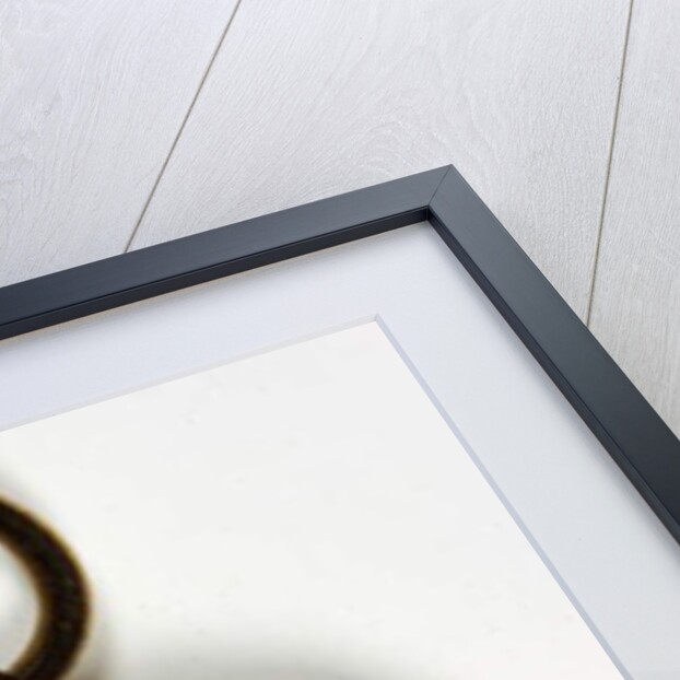 John Holles, 2nd Earl of Clare by Andrew Plimer