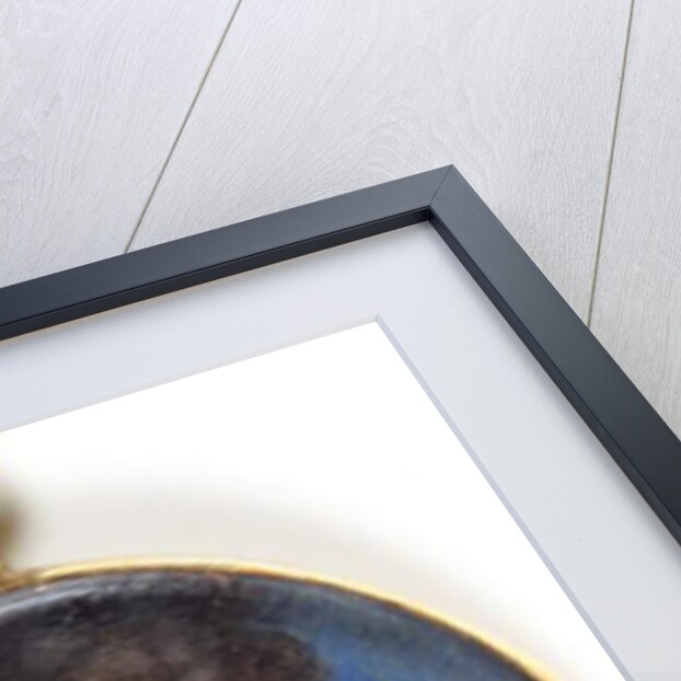 John Holles, Duke of Newcastle by Susan Penelope Gibson