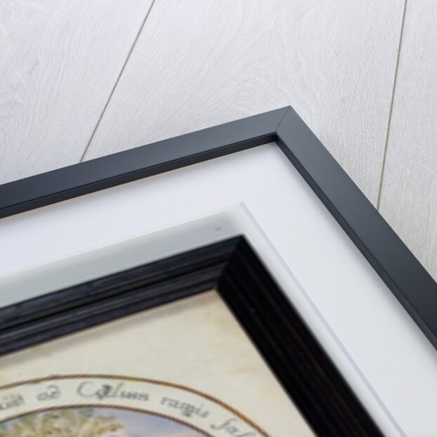 Emblem of the Union of England and Scotland, 1707 by Pierre Violier