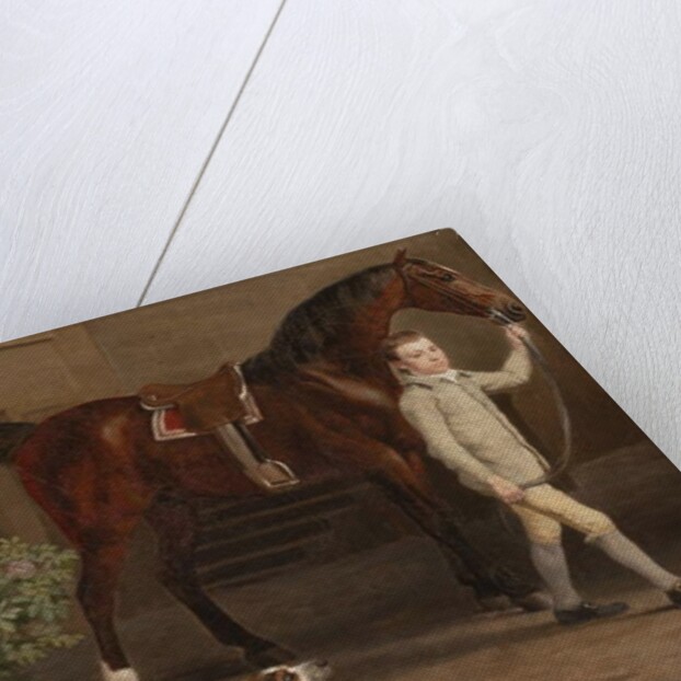 Detail from William Henry Cavendish Bentinck, 3rd Duke of Portland in front of Welbeck Abbey Riding Stables, 1766-7 by George Stubbs