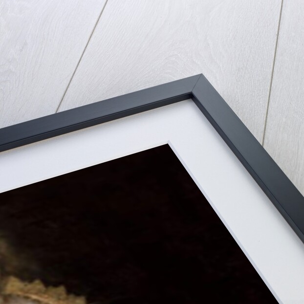 Lady called Margaret Stuart, Countess of Nottingham, c.1620 by Paul van Somer